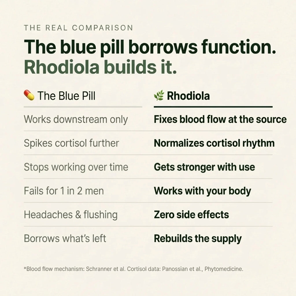 Rhodiola Rosea Capsules 1000 mg