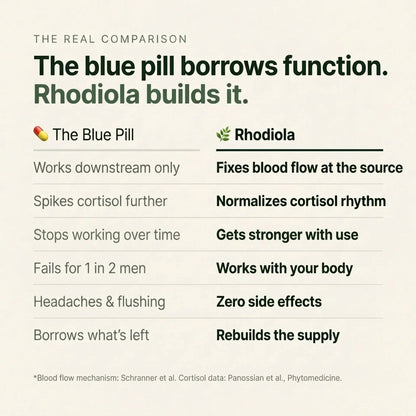 Rhodiola Rosea Capsules 1000 mg