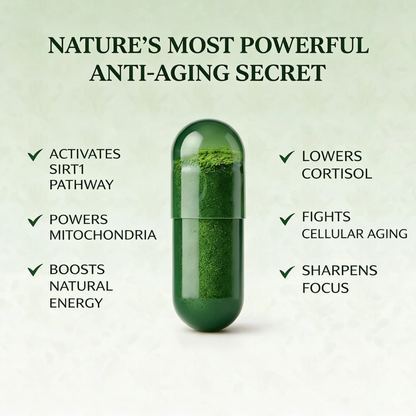 Rhodiola Rosea Capsules (1,000 mg)