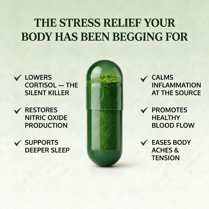 Rhodiola Rosea Capsule (1,000 mg)‎